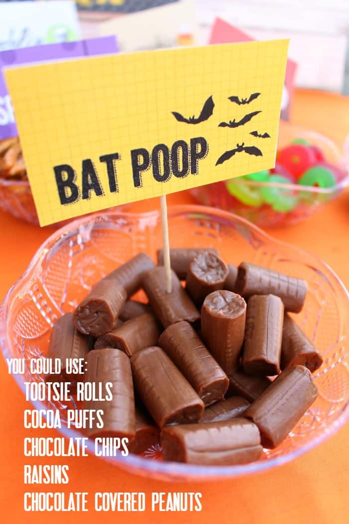 bat poop ideas