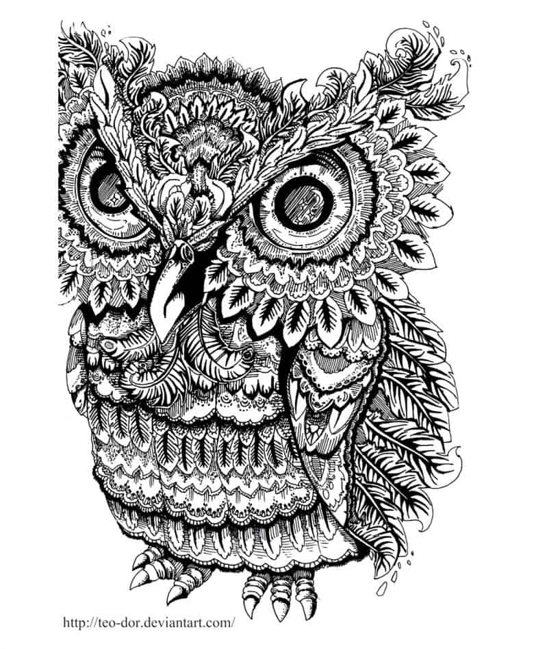 owl · coloring adult owl big eyes