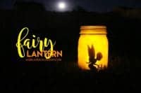 http://www.agirlandagluegun.com/wp-content/uploads/2016/07/fairy-lantern--200x133.jpg