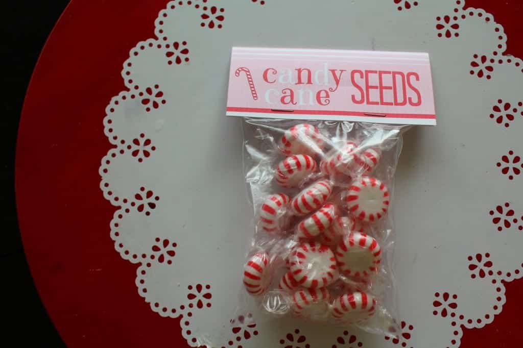 candy cane seeds printable free