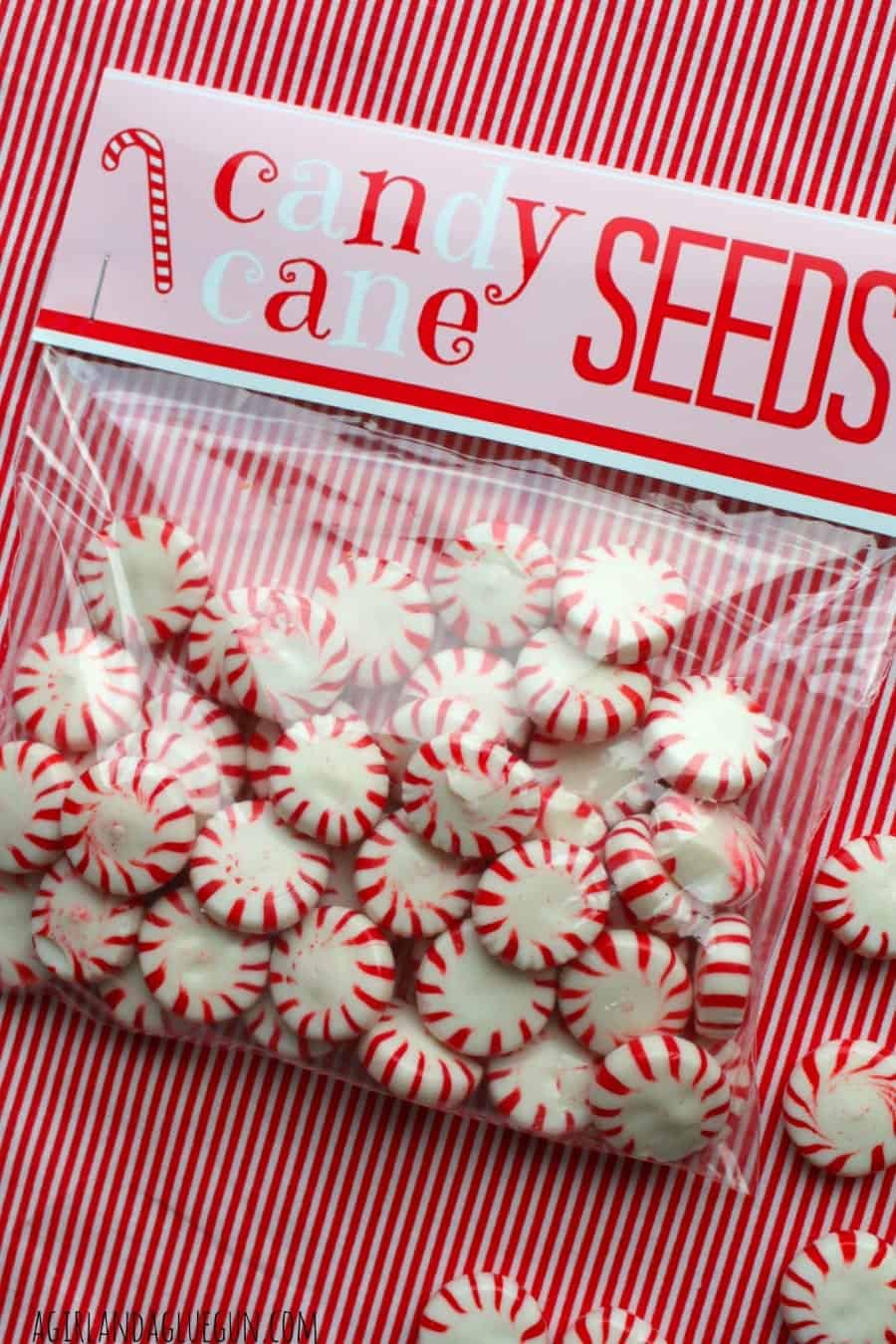 candy cane seeds printable