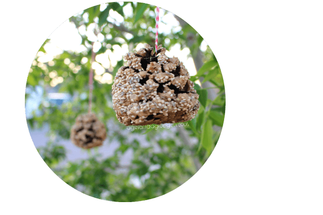 bird seed feeder