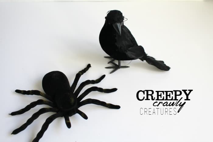 creepy crawly creatures
