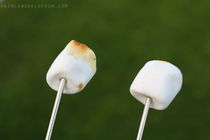 roasted marshmallows