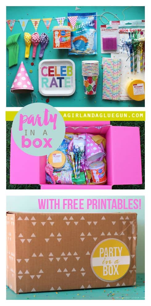 fun party in a box with free printables