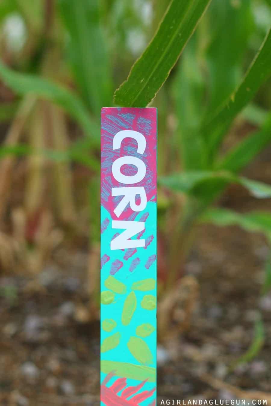 corn plant marker diy