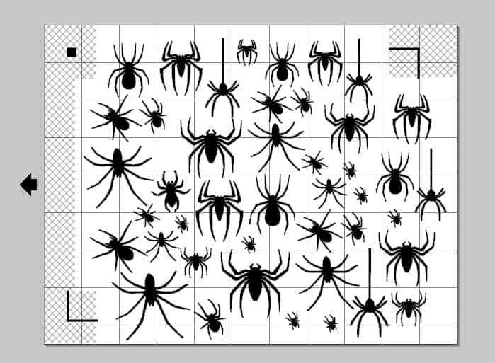 all the spiders