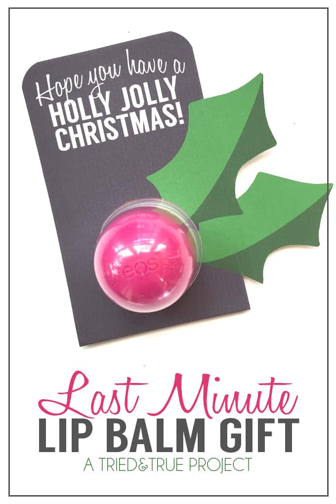 Last-Minute-Lip-Balm-Christmas-Gift-SM-8
