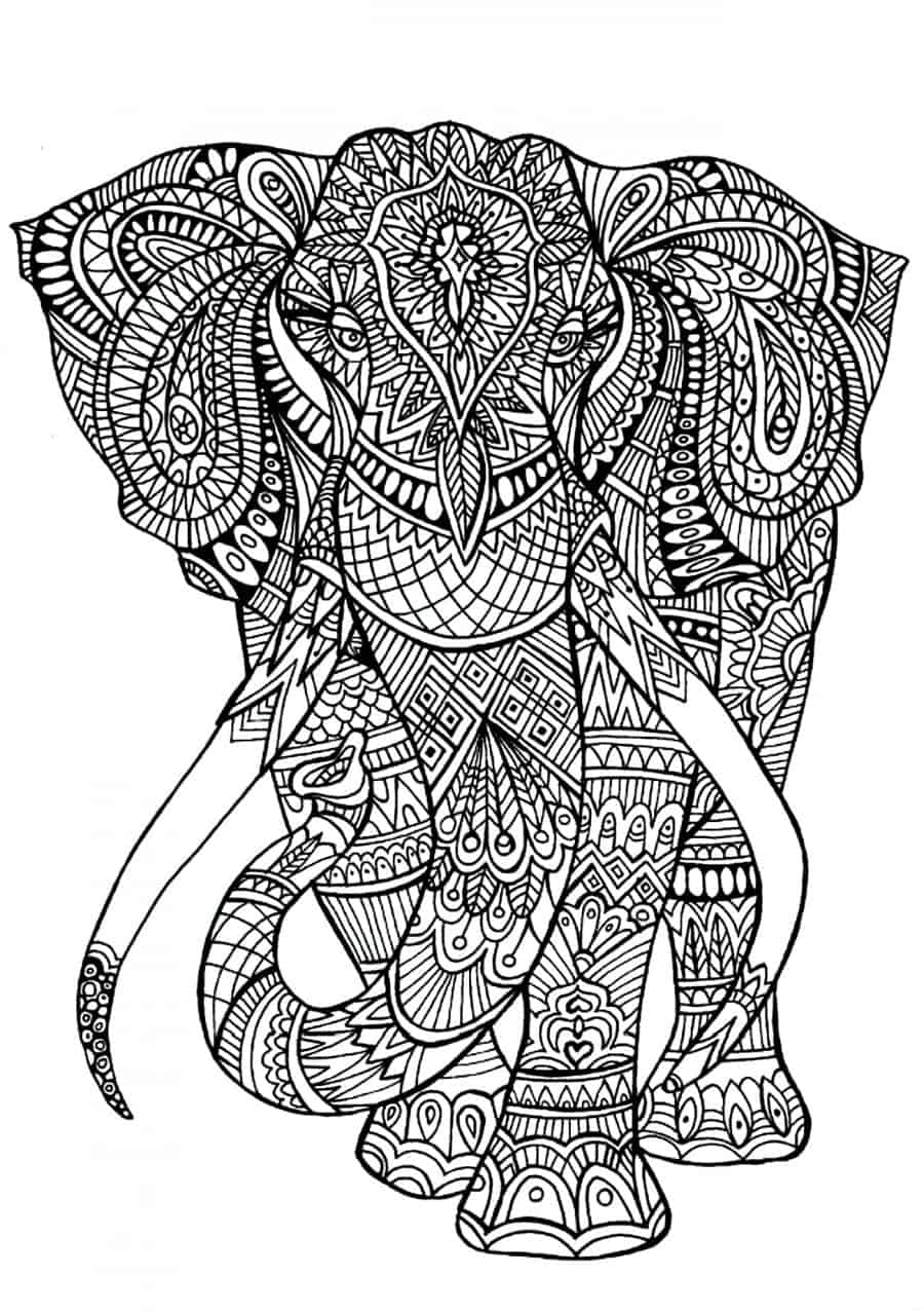 coloring-adult-elephant-patterns