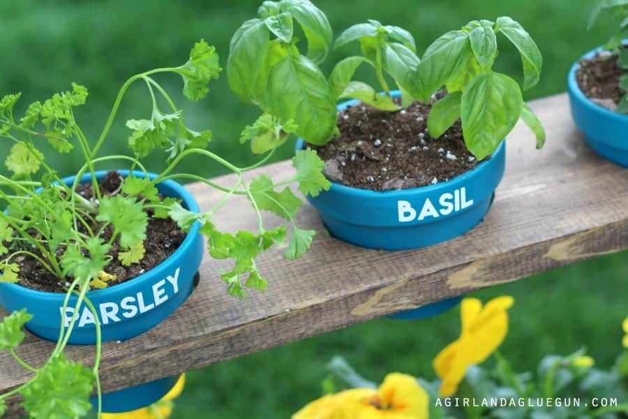 vinyl pots for a fun and easy herb garden