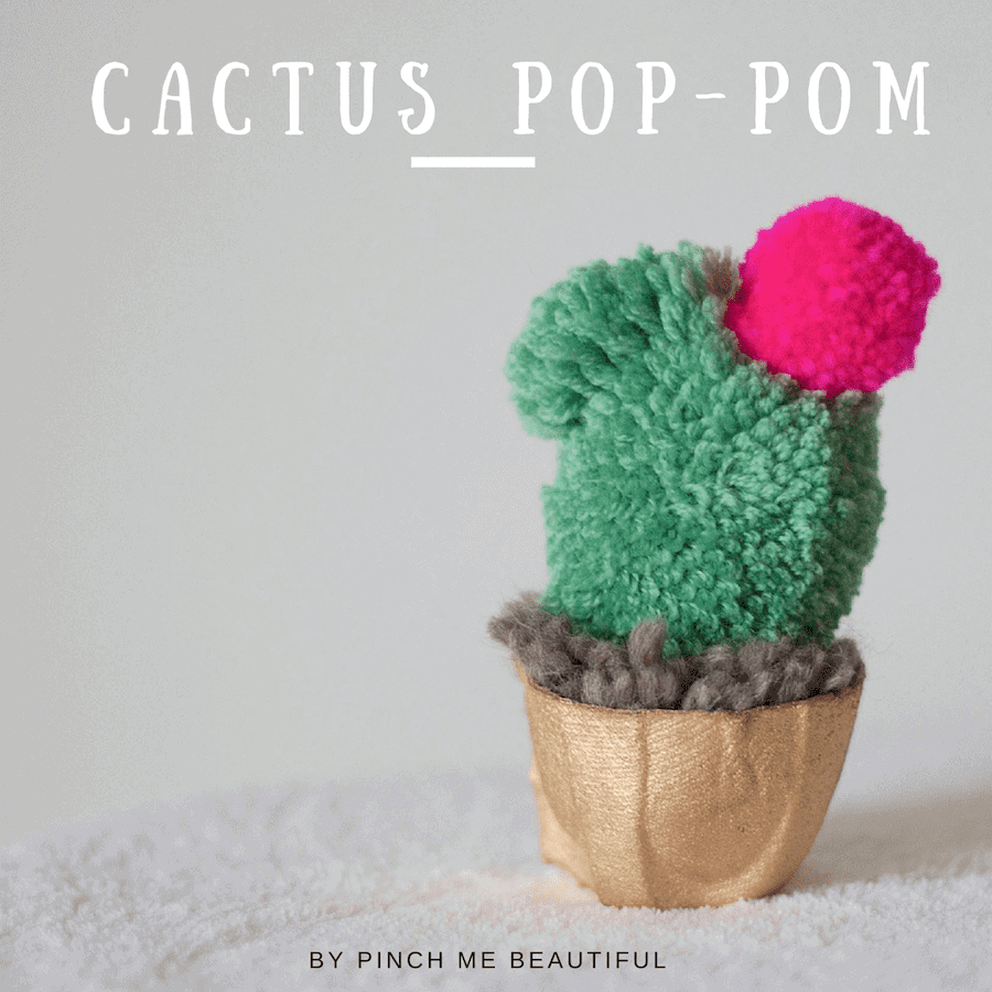 Cactus Pop-pom