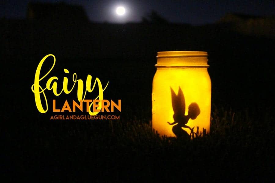 fairy lantern