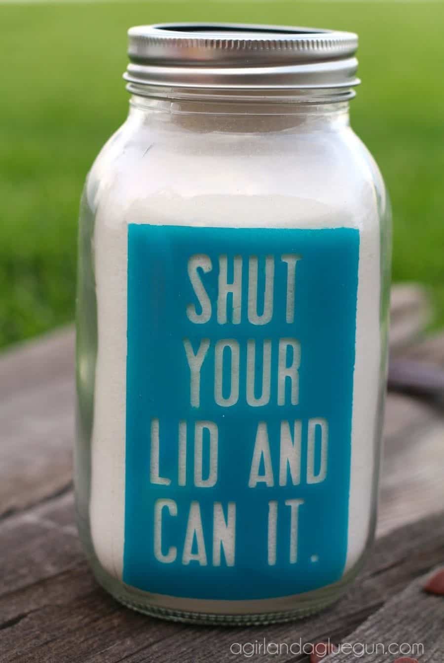 mason-jar-shut-your-lid-and-can-it-900x1344