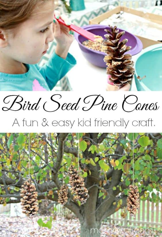 pine-cone-bird-feeder