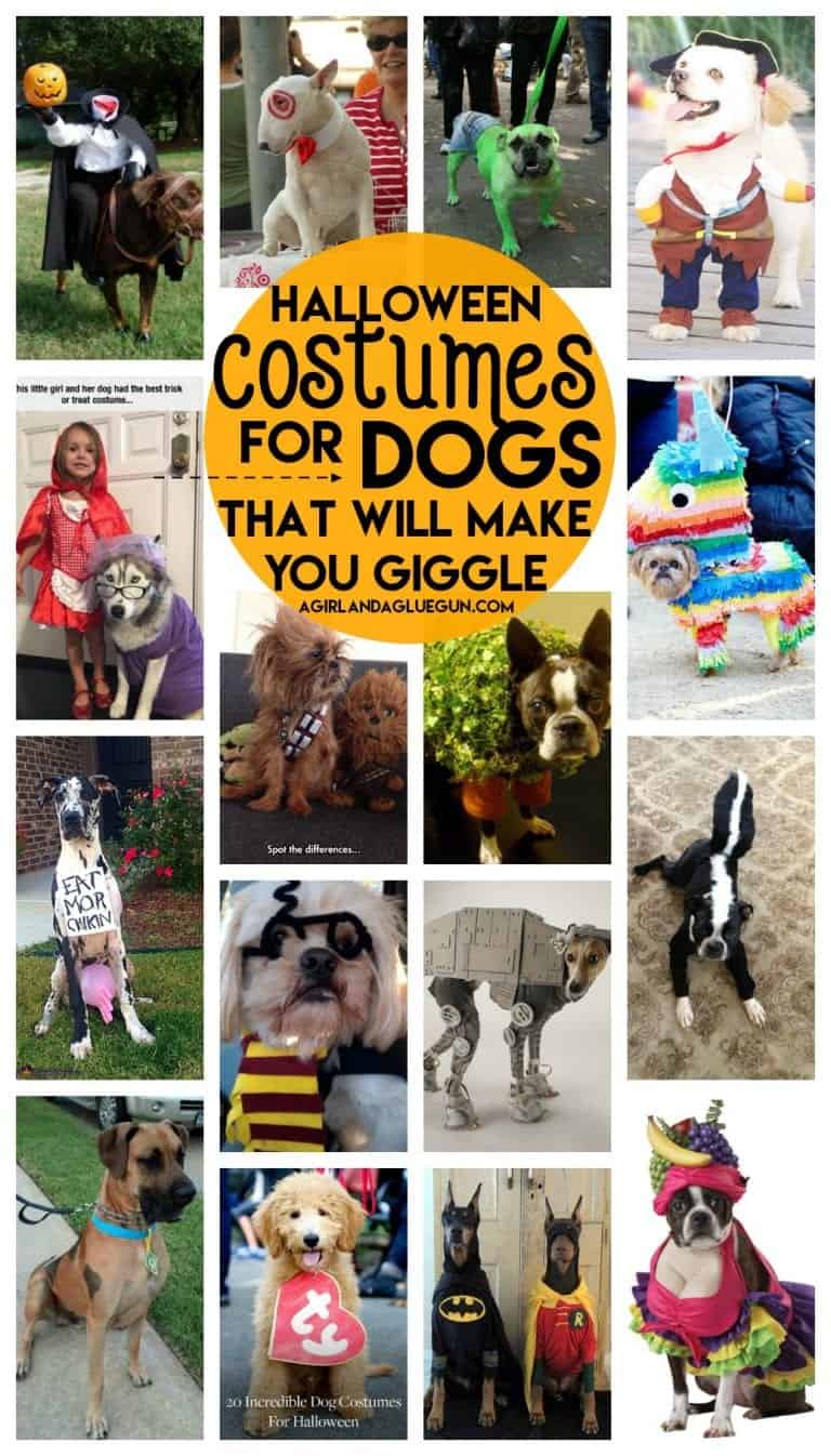 the best Halloween Costumes for Dogs A girl and a glue gun