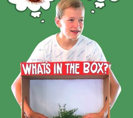 what's in the box big group game