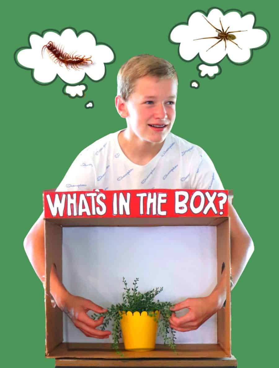 What's in the Box- fun group game! - A girl and a glue gun