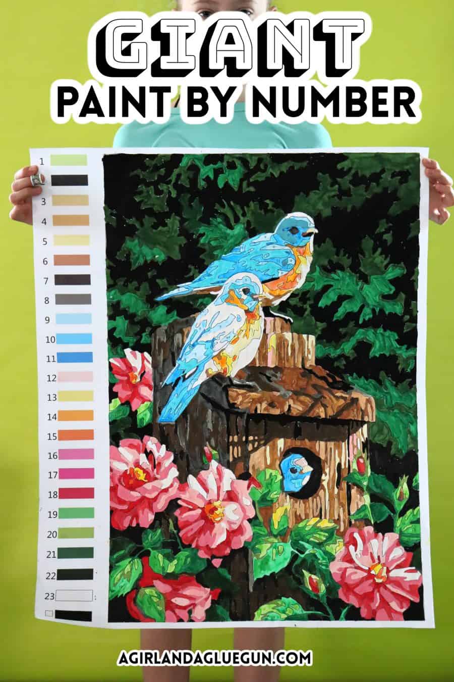 Birds And Flowers - Paint By Number - Paint by Numbers for Sale