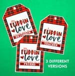 I flippin love you Christmas neighbor gift printable - A girl and a ...