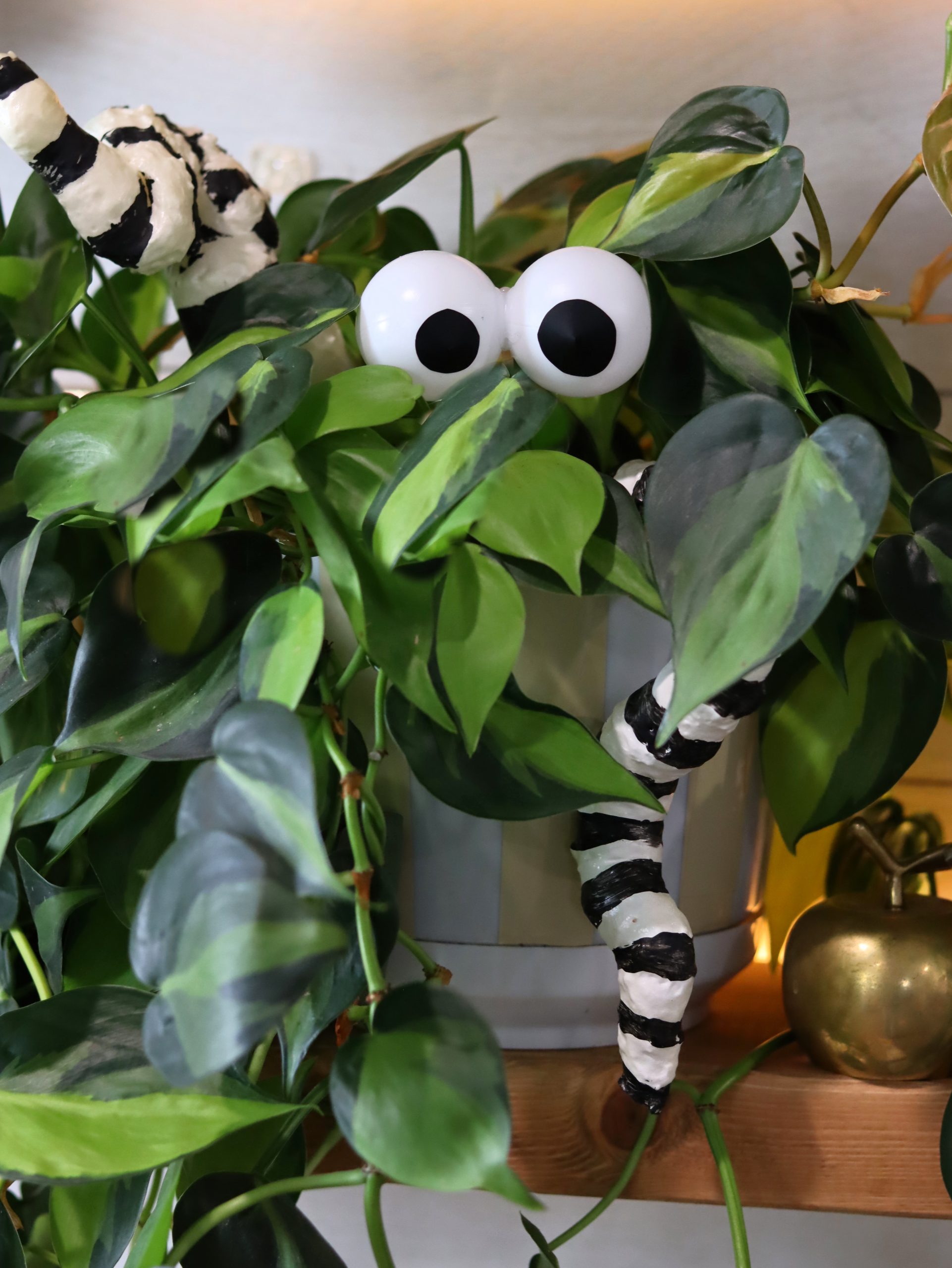 DIY Plant eyeballs - A girl and a glue gun